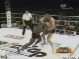 Fedor Emelianenko Fighting